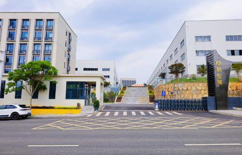 剛柔相濟鑄偉業 訪湖南順新金屬制品科技董事長張順新