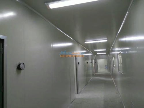 陜西食品廠車間凈化工程裝修 河南豫凈環(huán)保科技的解決方案